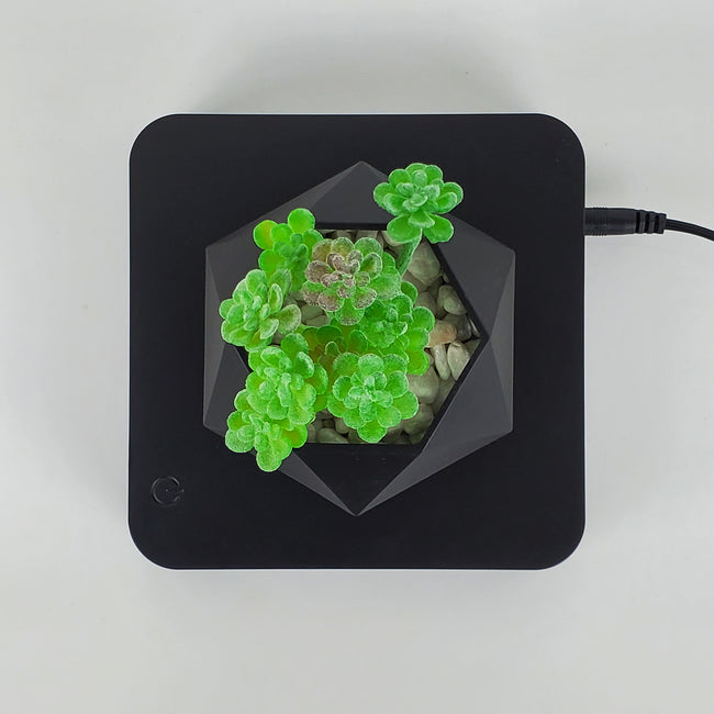 Murky Black Levitating Pot